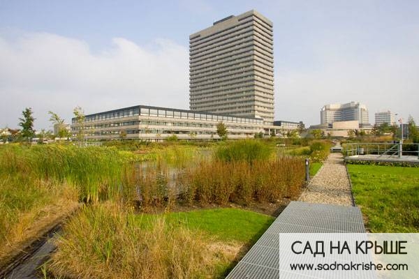 Сад на крыше в Рейсвейке